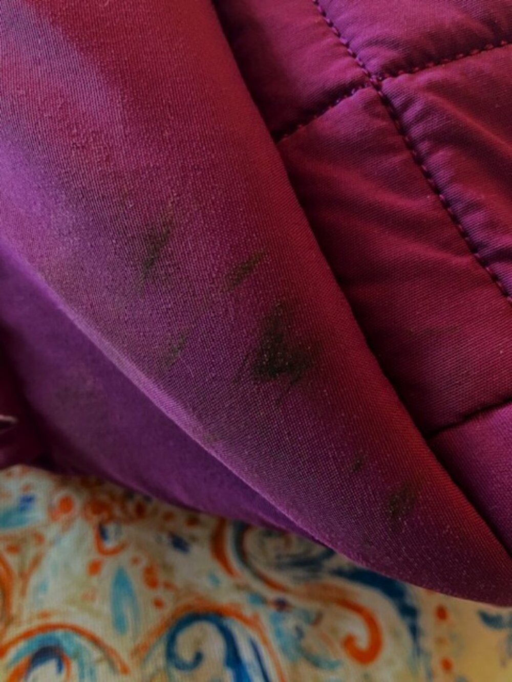 Roomy Lug Purple Overnight Bag -- Fair Condition - Picture 6 of 10
